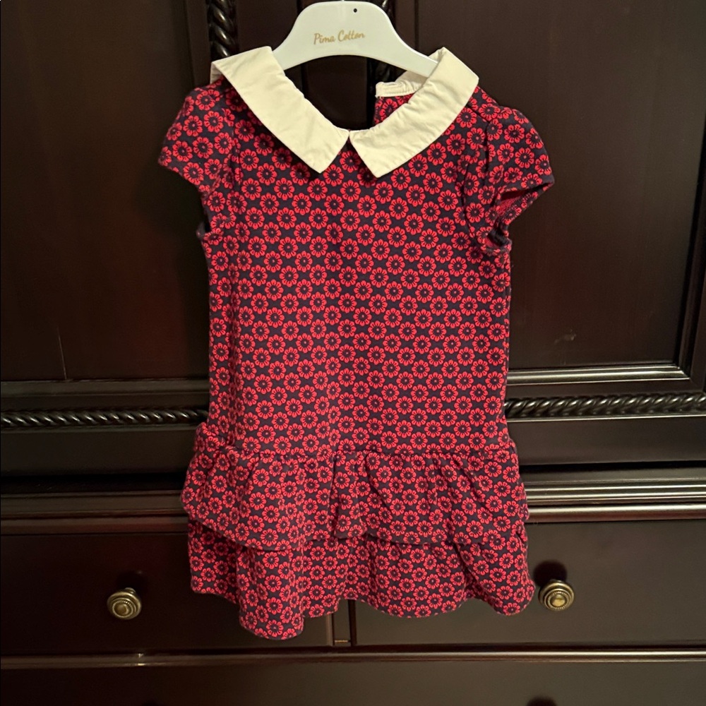 Janie and Jack Red Floral Dress with White Collar